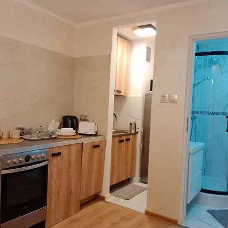 Apartment 1010 Centrum *